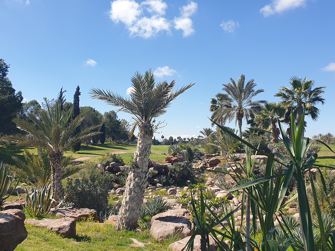 News golf ★ infos & actualités de l'académie